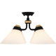 manufacturer_finish:Matte Black|manufacturer_glass:Opal Etched Glass
