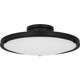 manufacturer_finish:Matte Black|manufacturer_glass:Etched Glass Painted White Inside|light_source:LED|light_output:2500.00lm|color_temperature:3000K|cri:90