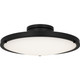 manufacturer_finish:Matte Black|manufacturer_glass:Etched Glass Painted White Inside|light_source:LED|light_output:2500.00lm|color_temperature:3000K|cri:90