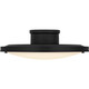 manufacturer_finish:Matte Black|manufacturer_glass:Etched Glass Painted White Inside|light_source:LED|light_output:2500.00lm|color_temperature:3000K|cri:90