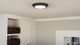 manufacturer_finish:Earth Black|light_output:1480.00lm