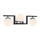 George Kovacs - P5423-572 - Three Light Bath - Alluria ll - Polished Nickel And Coal