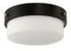 Oak Street Two Light Flushmount (X3214-FB)