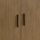 Mebarak Cabinet (51159)