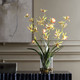 Spider Vase (60274)