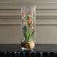 Mariposa Orchid (60278)