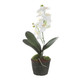 Uttermost - 60280 - Orchid Drop-In - Laris - White
