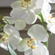 Laris Orchid Drop-In (60280)