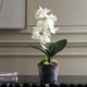 Laris Orchid Drop-In (60280)