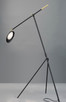Scan LED Floor Lamp (21694BKSBR)