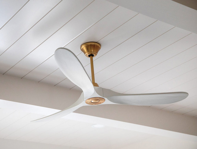 Ceiling Fans 365