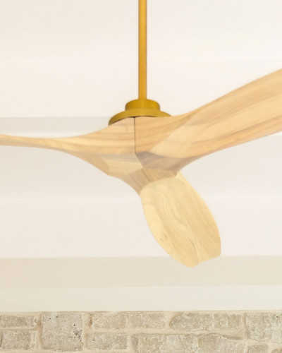 Ceiling Fans Save the Day (and night)