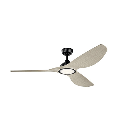 Contemporary Fans