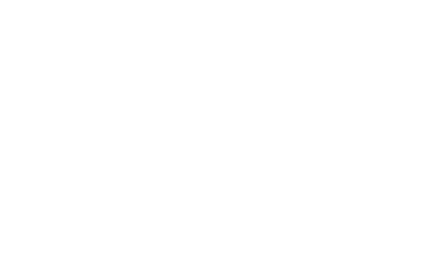 Fast & Free Shipping