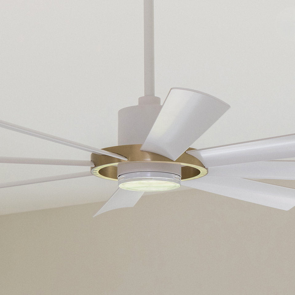 Ceiling Fans Save the Day (and night)
