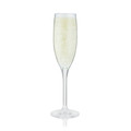 Hardy Acrylic Champagne Flute, 5 oz (Set of 6)-view-2