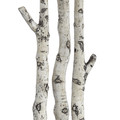 Poly birch tree branches Table Lamp