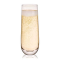 Stemless Champagne Flute Set-view-6