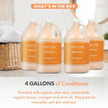 Terra Pure Wild Citrus Conditioner, 1 Gallon (Pack of 4)-view-4
