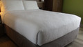 Triton Decorative Top Sheet (Set of 12)-view-1