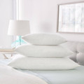 Feather Pillow Insert (Set of 2)