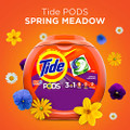 Tide PODS Liquid Laundry Detergent - 81 Count, Spring Meadow Scent (Pack of 4)