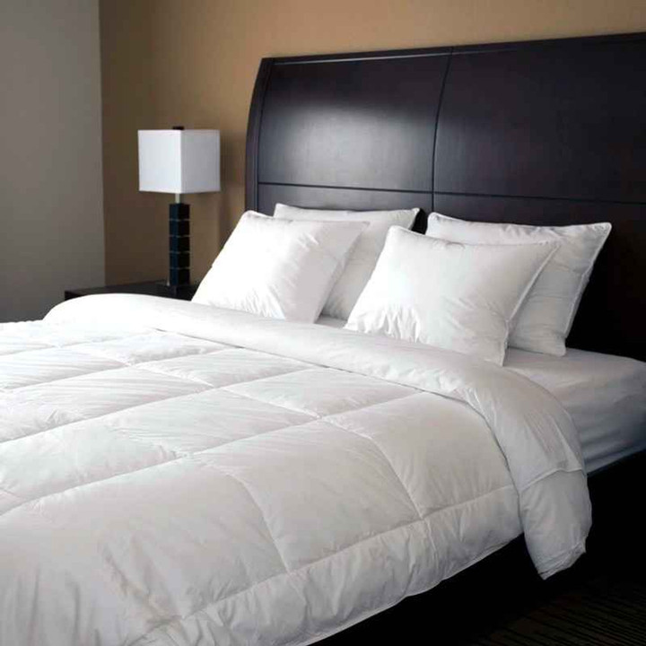 Continuous Comfort™ All Seasons Cotton Down Alternative Comforter (Casepacks Vary by Size)