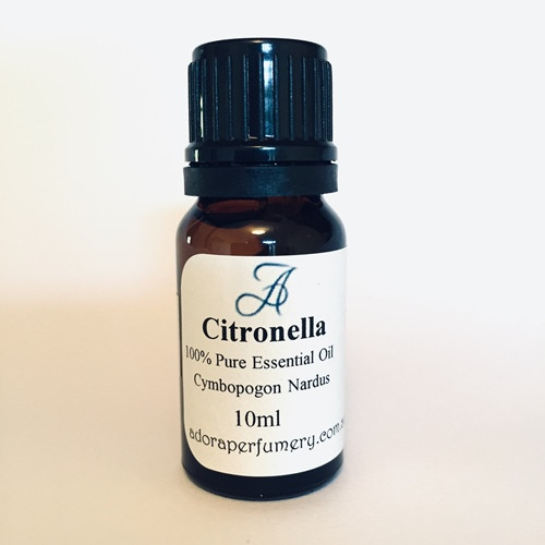 Citronella