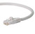 NavePoint CAT6 UTP Ethernet Network Patch Cable - 1 Ft Gray