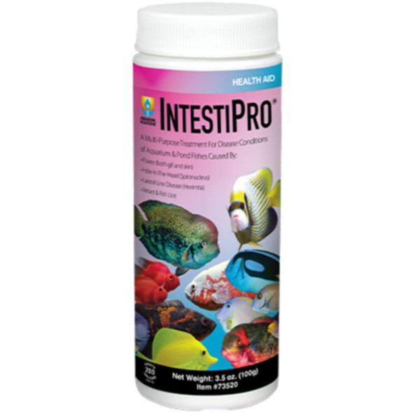 Hikari IntestiPro Powdered Intestinal Worm Treatment - 3.5 oz
