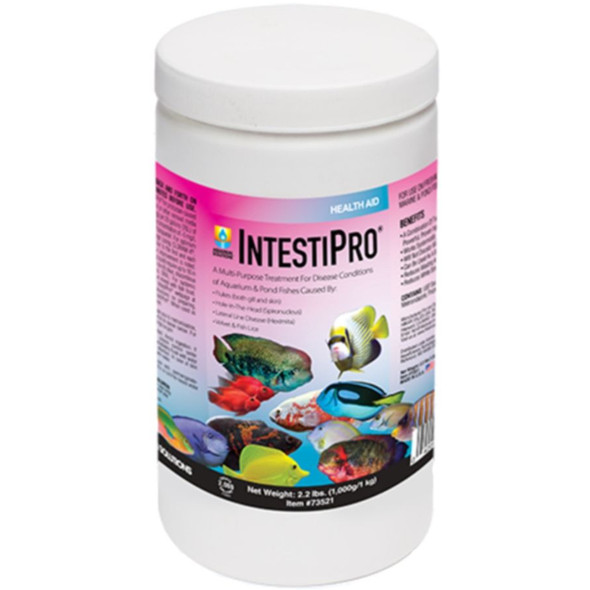 Hikari IntestiPro Powdered Intestinal Worm Treatment - 2.2 lb