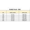 Purge Plug PIPE OUTLET 1"-6"