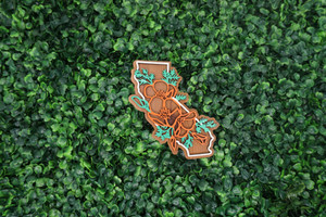 California State Flower Ornament/Magnet