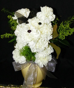 Puppy Love Flowers Puppy Love Flowers