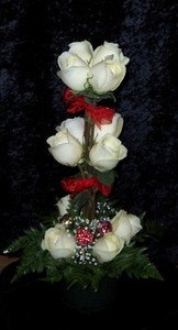 Dozen Done Different Dozen Done Different