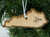 State Ornament Kentucky Home
