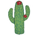 Cactus shape bouquet