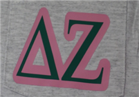 Delta Zeta Pocket T-Shirt