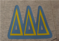 Delta Delta Delta Pocket T-Shirt