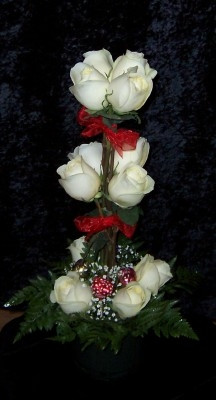 Dozen Done Different