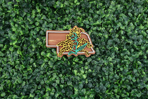 Nebraska State Flower Ornament/Magnet