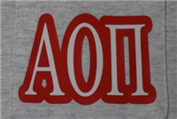 Alpha Omicron Pi Pocket T Shirt