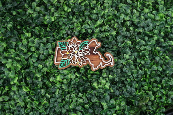 Massachusetts State Flower Ornament/Magnet
