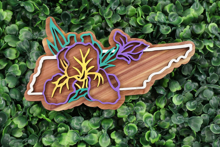 Tennessee  State Flower Ornament/Magnet