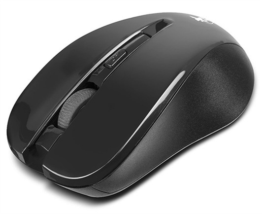 Xtech XTM 300 Wireless Mouse