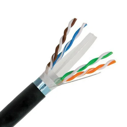 NA 1ft CAT6 Black Outdoor Cable