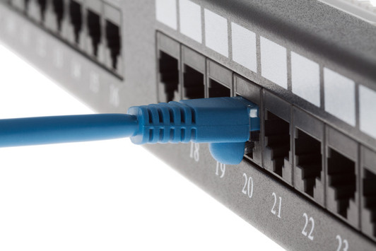 Intellinet 3ft CAT5E Blue Patch Cable