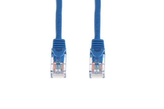 Intellinet 100ft Cat5E Blue UTP Patch Cable