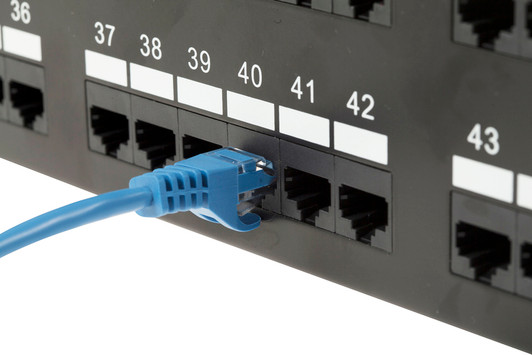Intellinet 7ft Blue CAT6 Patch Cable
