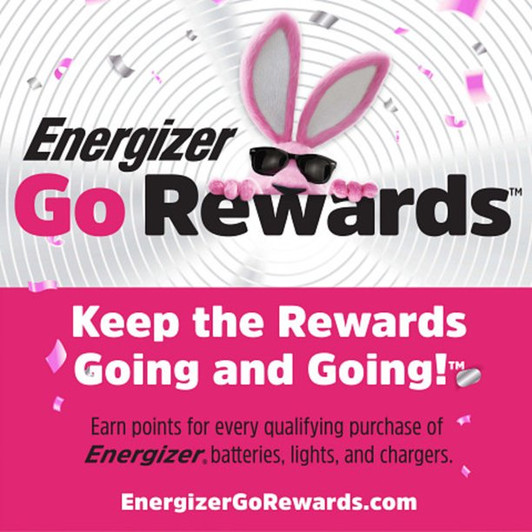 Energizer AAA 2 Pack Battery Energizer AAA 2 Pack Battery